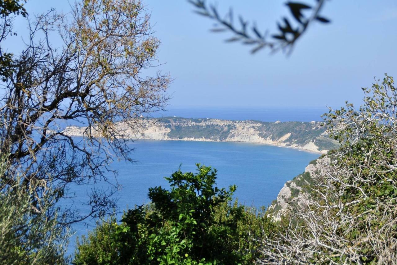 Villa Meli Afionas Corfu Экстерьер фото